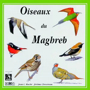 Pochette de Oiseaux du Maghreb / Birds of North‐West Africa de Jérôme Chevereau - Jean C. Roché