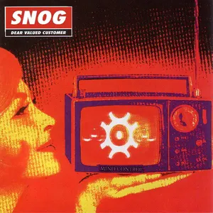 Pochette de Live in the Global Village de Snog