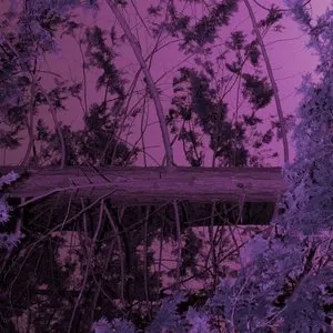 Pochette de Steamroom 51 de Jim O’Rourke