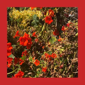 Pochette de Slow Torture of an Hourly Wage de The Reds, Pinks & Purples