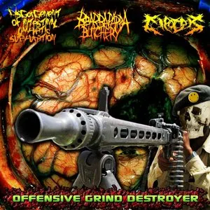 Pochette de Offensive Grind Destroyer de Disgorgement of Intestinal Lymphatic Suppuration