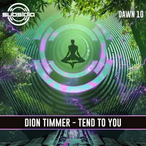Pochette de Tend To You de Dion Timmer