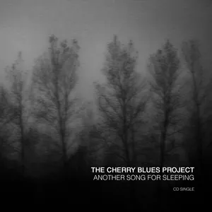 Pochette de Another Song for Sleeping de The Cherry Blues Project