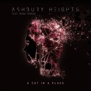 Pochette de A Cut in a Place de Ashbury Heights