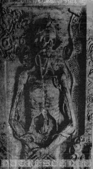 Pochette de Putrescence de Chier