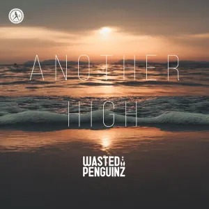 Pochette de Another High de Wasted Penguinz