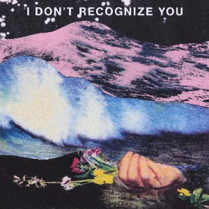 Pochette de I Don't Recognise You de NewDad