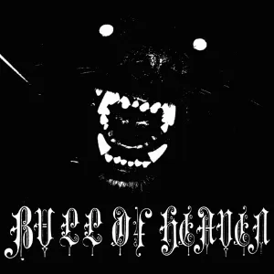 Pochette de 105: I’m Not Here Anymore de Bull of Heaven