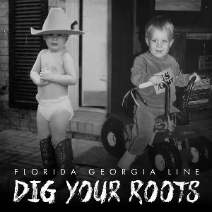 Pochette Dig Your Roots