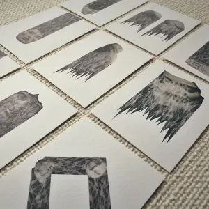 Pochette de The Blossoming of the Nothingness Trees de øjeRum