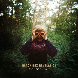 Pochette de My Perception de Black Box Revelation