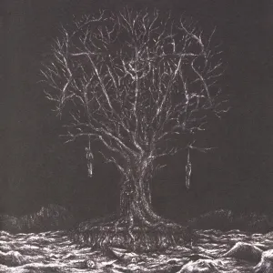 Pochette de Farsotstider de Thyrfing