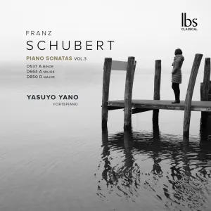 Pochette de Piano Sonatas, Vol. 3 de Franz Schubert