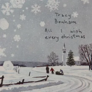 Pochette de All I Wish Every Christmas de Tracy Bonham
