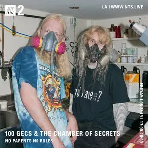 Pochette de 100 Gecs & the Chamber of Secrets de 100 gecs