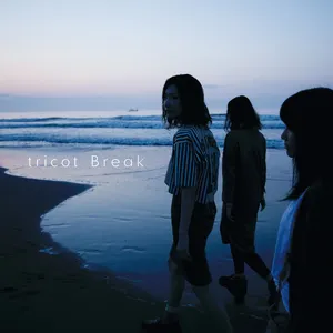Pochette de Break de tricot