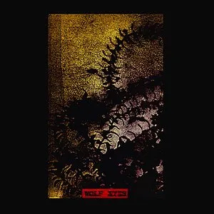 Pochette de Shattered de Wolf Eyes