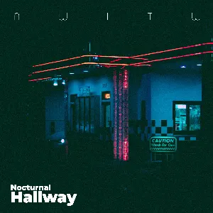 Pochette de Nocturnal Hallway de AWITW
