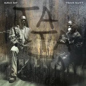 Pochette de TaTaTa de Burna Boy