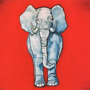Pochette Custom Elephant Singles Box
