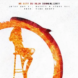 Pochette de Wo bist du mein Sonnenlicht? de Haiyti