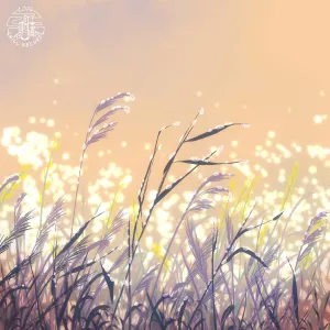 Pochette de Sundew de softy - JazzyHan