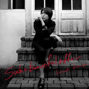 Pochette de Such a beautiful affair de Hiroshi Kamiya