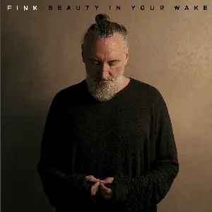Pochette de Beauty In Your Wake de Fink