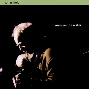 Pochette de Voice on the Water de Jonas Fjeld