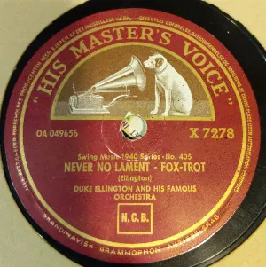 Pochette Never No Lament / Take the 