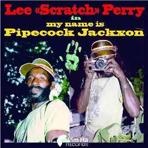 Pochette My Name Is Pipecock Jackxon