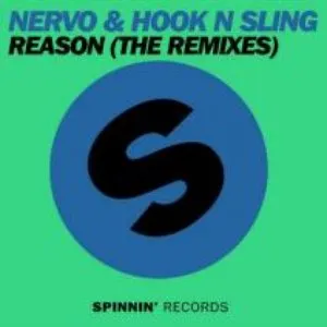 Pochette de Reason (The Remixes) de Hook n Sling - NERVO