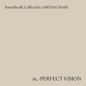 Pochette The Perfect Vision Reworkings