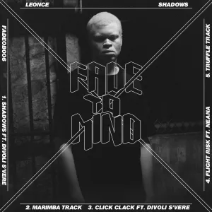 Pochette de Shadows de Leonce