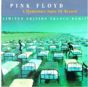 Pochette A Momentary Lapse of Reason: Limited Edition Trance Remix