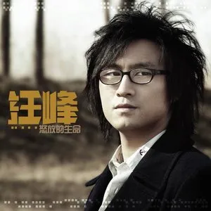 Pochette de 怒放的生命 de Wang Feng