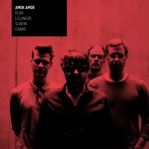 Pochette de Amok Amor de Peter Evans