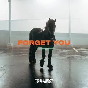 Pochette de Forget You de FAST BOY
