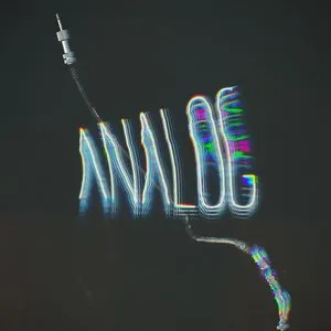 Pochette de Analog de Misanthrop
