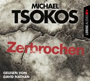 Pochette de Zerbrochen de David Nathan