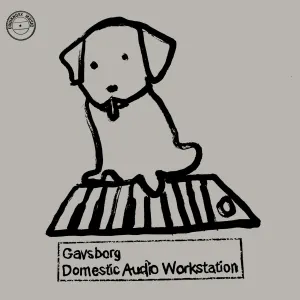 Pochette de Domestic Audio Workstation de Gavsborg