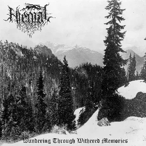 Pochette de Wandering Through Withered Memories de Hiemal