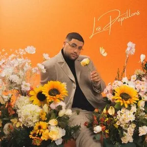 Pochette de Les Papillons de Ahcène