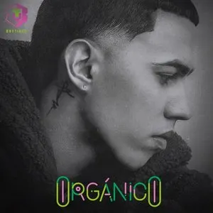 Pochette de Orgánico de Brytiago