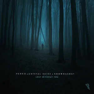 Pochette de Lost Without You de NURKO