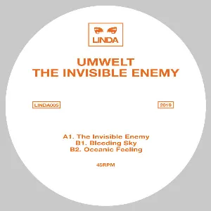 Pochette de The Invisible Enemy de Umwelt