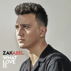 Pochette de What Love Is de Zak Abel