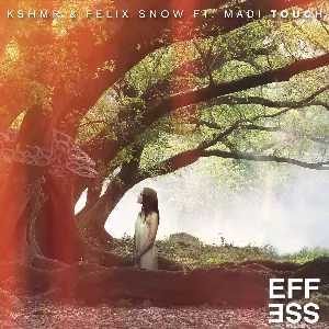 Pochette de Touch (VIP remix) de KSHMR