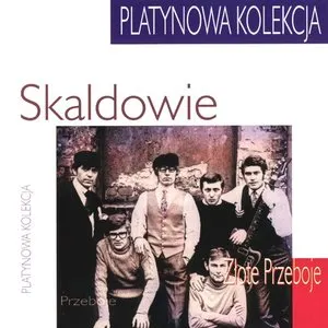 Pochette de Platynowa kolekcja: Złote przeboje de Skaldowie