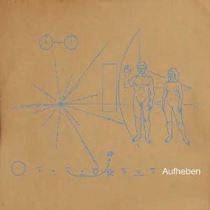 Pochette de Aufheben de The Brian Jonestown Massacre